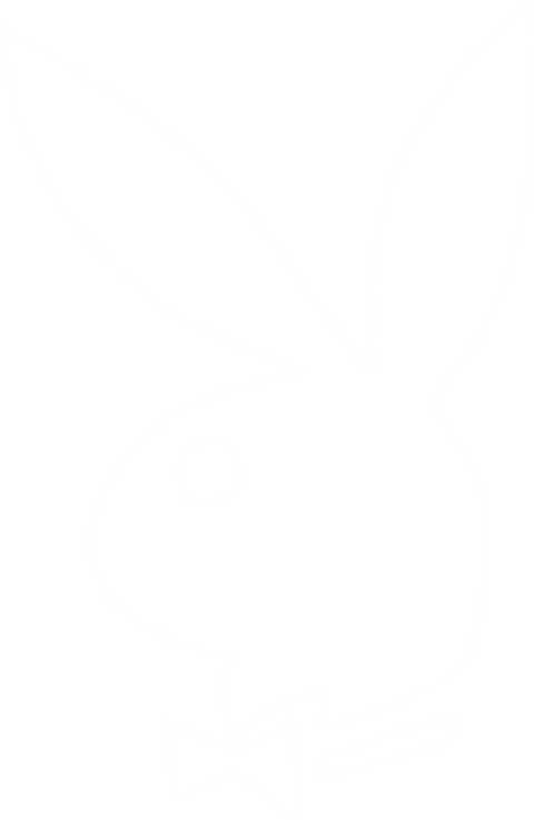 Women's Health